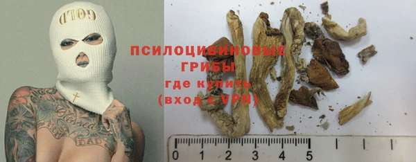 PSILOCYBIN Верхний Тагил