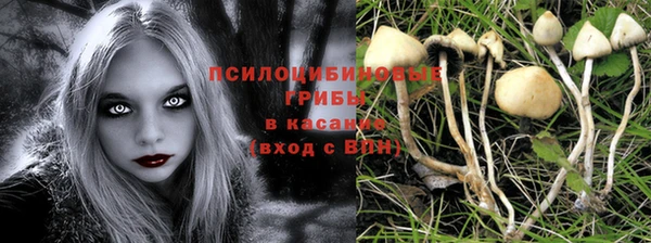 амф Верея