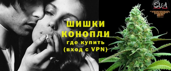 PSILOCYBIN Верхний Тагил