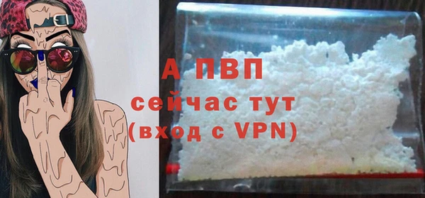 PSILOCYBIN Верхний Тагил