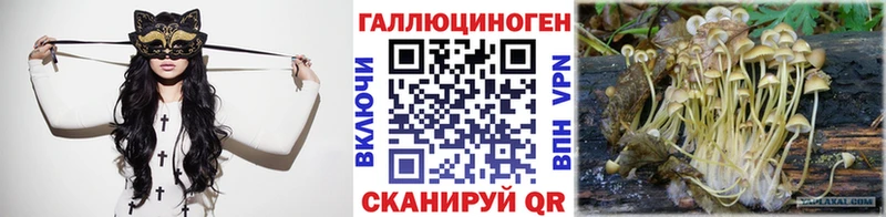Псилоцибиновые грибы MAGIC MUSHROOMS  Купить где  Новокубанск 